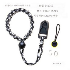 캐논r6릴리즈