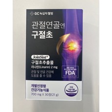 녹십자웰빙 관절연골엔 구절초 700mg x 30정 x 1박스