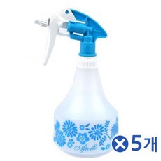아폴로x6