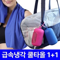 원샤인 아이스 쿨타올 스포츠 휴대용, 2개, 아쿠아블루