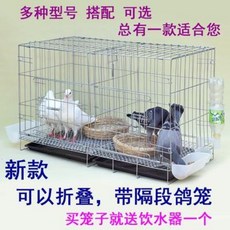 ce4dcd1c6dcfbeeb0957195a6dfb83854f8871d976c2b1e6cfd9b4a1be20.jpeg