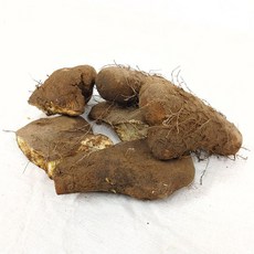 동신포리마