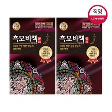 리엔 흑모비책 골드 염색약 자연갈색 90g X 2개