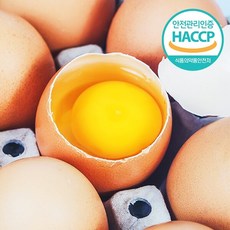 [웰굿] [HACCP] 농장직송 신선한 계란 20구(1판 대란), 1개