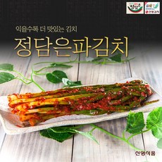 반찬단지파김치