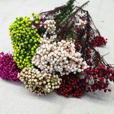 홍대플라워바이네이키드pkg