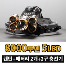 sdm-h8000s