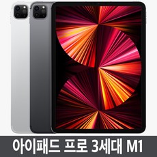 Apple 아이패드 프로 11 3세대 M1칩