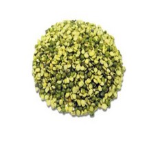 부샤익스플로러롤백