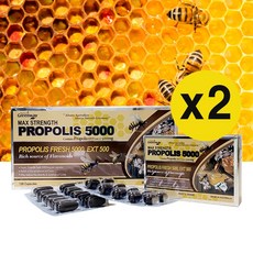 네이처스훼밀리프로폴리스5000 TOP01