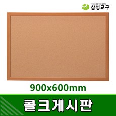삼성어린이집영유아프로그램총론