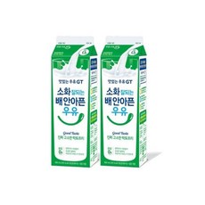 남양유업 맛있는우유 GT 소화 잘되는 배 안아픈 우유 남양우유 밀크 부모님 어른 아이 간식 900ml 2개