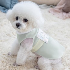 금동이 펫 GM006 연연두사각꽃패치 강아지 고양이 애견 한복, 3XL(XXXL), 1개 - 강아지한복패턴