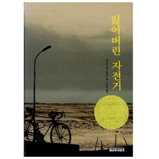잃어버린 자전거