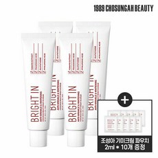 조성아뷰티 기미크림 브라이트 인 크림 4개 + 2ml파우치x10매, 단품
