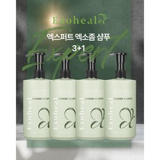 [3+1] 엑소힐 스칼프 엑스퍼트 두피 케어 엑소좀 기능성 샴푸 500ml 탈모완화 피부과추천, 1개, 2L - exputt