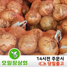 ( 오일장 상회 ) 국내산 양파 (특) 2KG 5KG 10KG, 1박스