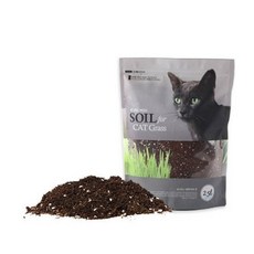 영수네캣그라스