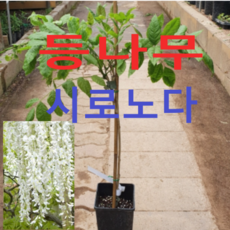 e98b10b05533d561cc869be8b03c01a1eab652c6d7575dbc518a80867310.png