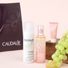 꼬달리 [꼬달리] 뷰티엘릭시르100ml 한정세트(폼클 정품증정), 단품없음