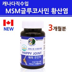 관절엔msm100%