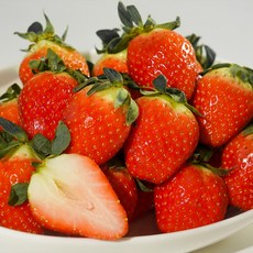 딸기 설향딸기 킹스베리 논산 산지직송 1개 킹스베리 딸기 특 (35g 이상) 500g 상품 이미지