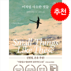 이처럼 사소한 것들 (큰글자책) + 쁘띠수첩 증정, 다산책방, 클레어 키건