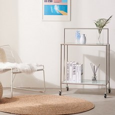 이케아트롤리그린