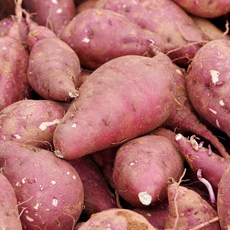 산지직송 무농약 해남 황토 꿀고구마 밤고구마 베니하루카 한입고구마 2kg, 1박스, 08 꿀고구마 중상 10kg