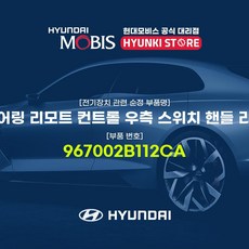 현대모비스프라이드리모컨