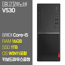 레노버 비즈니스용 데스크탑 PC 8세대 Core-i5 RAM 16GB 윈도우11 SSD탑재 중고컴퓨터, Core-i5/16GB/1TB, 기본형