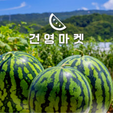 건영마켓 속이꽉찬 꿀수박 사계절수박 비파괴 당도선별, 1박스, 꿀수박 4kg이상