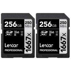 (관부가세 포함)렉사 렉사 Professional SDHC/SDXC 1667x UHS-II 256gb 메모리 카드 2팩 (LSD256CBNA1667)