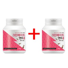 국보싸이언스 크린베이트 앤트 과립 100g[1+1기획] 먹이통 8개 포함 개미 집개미 효과적인 퇴치 살충