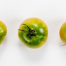 76759da464294767cdd8e010710762c228ea105ffc0224571e3ff358ae4b.jpg