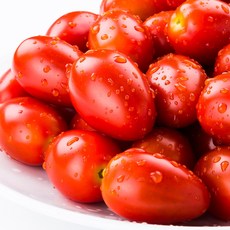 스테비아토마토-추천-상품