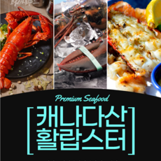 랍스터갱스터