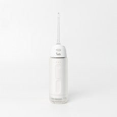 투스 워터젯 무선 구강세정기 Mini WF-M01 (2 colors), [4개]화이트4개