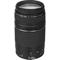 캐논 75-300 렌즈 canon ef 75-300mm f4-5.6 iii canon slr 카메라용 망원 줌 렌즈 6473 a003(리퍼비시 인증)