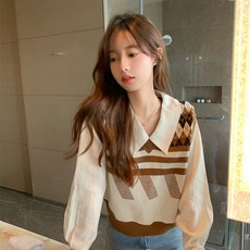 여성페이크셔츠카라