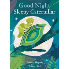 (영문도서) Good Night Sleepy Caterpillar Board Books, Silver Dolphin Books, English, 9781684122486