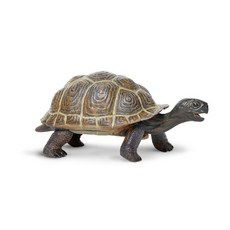 아기거북이가방