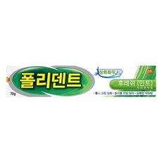 글락소스미스클라인 후레쉬 민트 의치 부착재 70g 수인12-678호