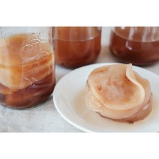 이로운 스코비 (콤부차 원액 배양 만들기 KOMBUCHA SCOBY)