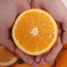 수입오렌지 프리미엄 고당도오렌지 고당도 오렌지 15과 3kg 내외 생오렌지 모로오렌지 모로실오렌지, 수입 고당도 오렌지 15개입 3kg내외