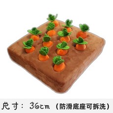 당근뽑기장난감