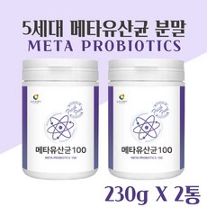 메타포트프로2