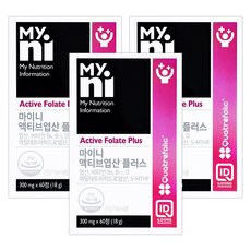마이니액티브엽산플러스