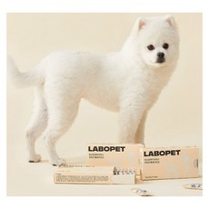 라보펫 포스트 바이오틱스 반려동물 유산균 5gx15포, 15포, 1개, 75g