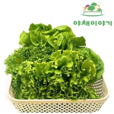 야채이야기 유러피안 샐러드 야채 1kg 대용량